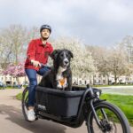 Douze Cycles V2 Traveller 600